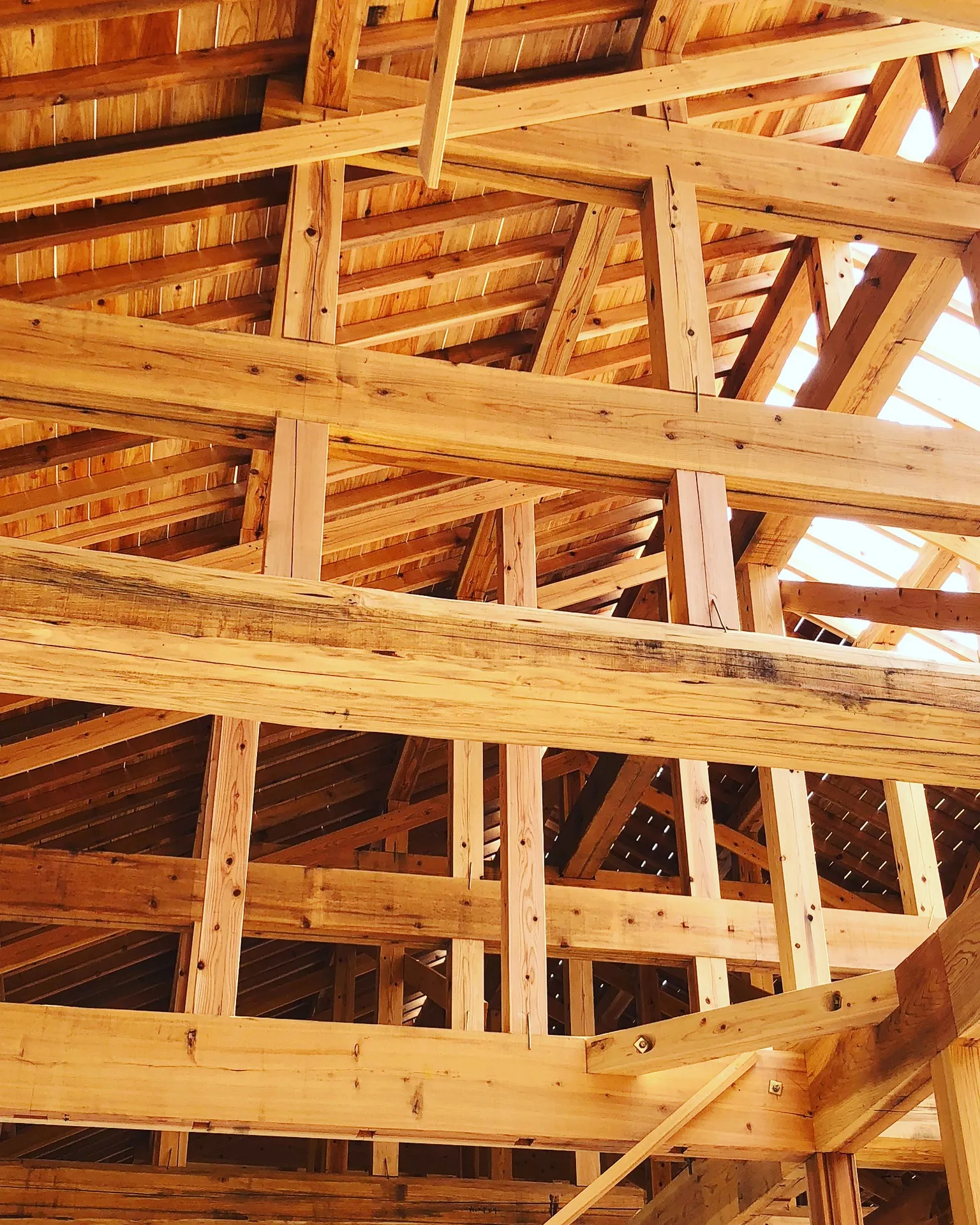 建築中の様子 小屋組み